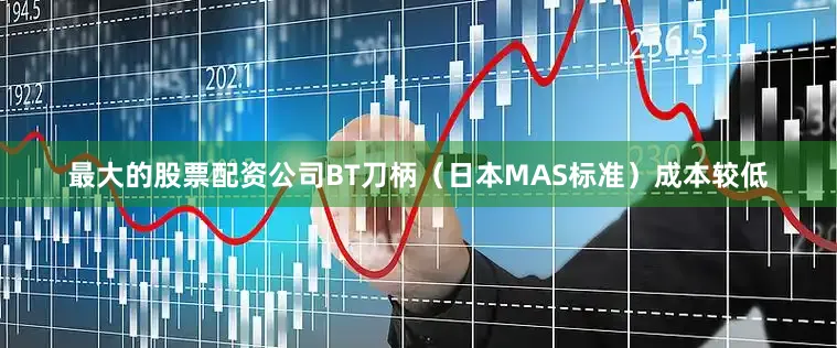 最大的股票配资公司BT刀柄（日本MAS标准）成本较低