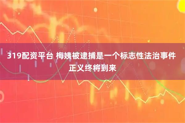 319配资平台 梅姨被逮捕是一个标志性法治事件 正义终将到来