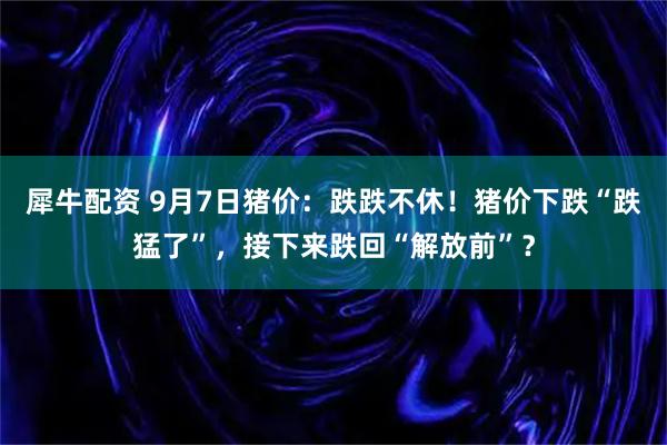 犀牛配资 9月7日猪价：跌跌不休！猪价下跌“跌猛了”，接下来跌回“解放前”？